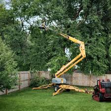 Best Arborist Consultation Services  in Red Springs, NC